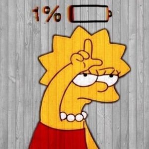 Meet your Posher, Ella